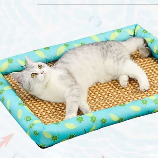 涼風そよぐ夏猫ベッド