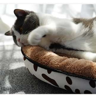 もこもこぬくぬく猫ベッド