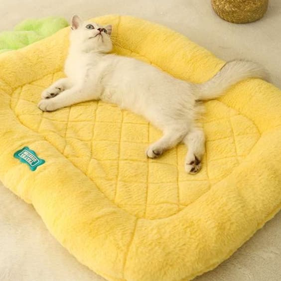 猫ベッド もこもこぬくぬく猫ちゃんベッド