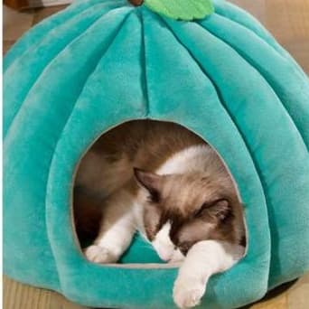 猫ベッド もこもこかぼちゃハウス