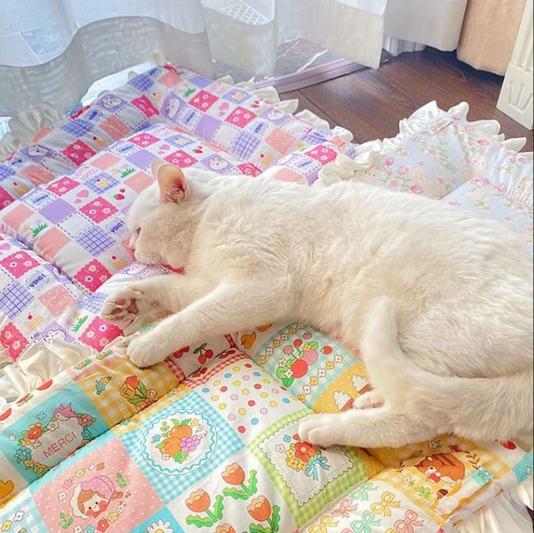 猫ベッド ふんわりフリル猫ちゃんの夢見座布団