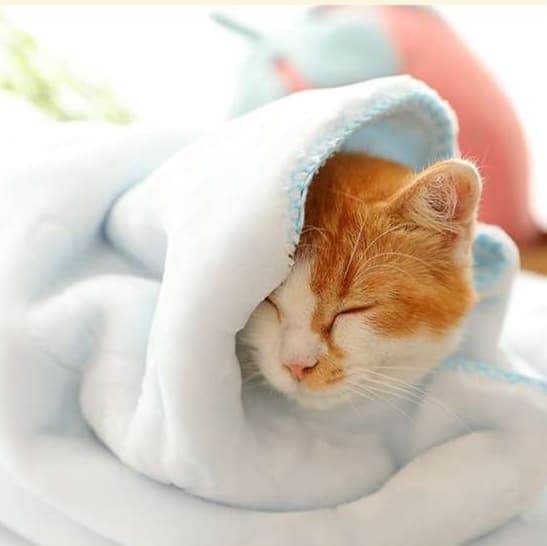 猫ベッド ふわもこ極上ペットベッド