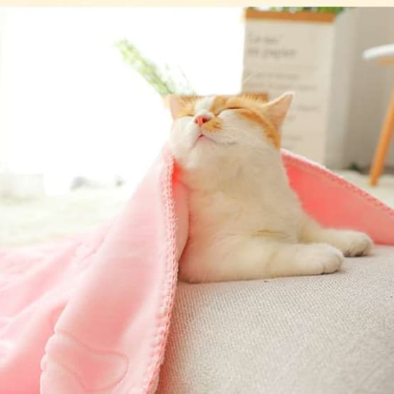 猫ベッド ふわもこ極上ペットベッド