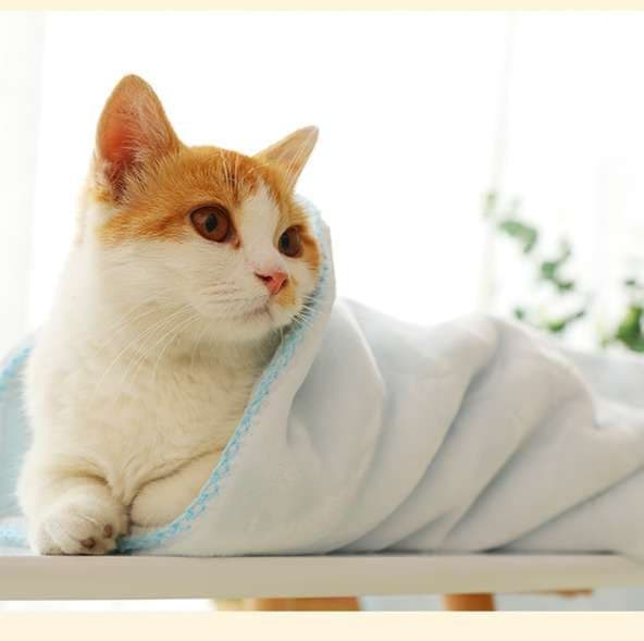 猫ベッド ふわもこ極上ペットベッド