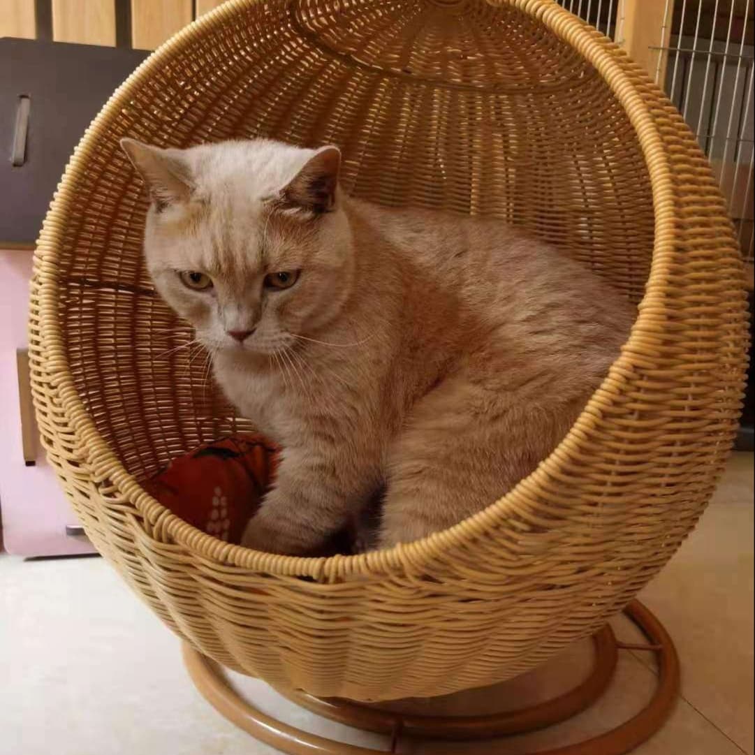 籐のリビング猫ベッド 二層式