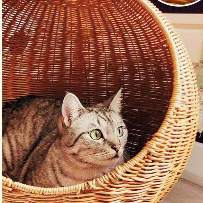 籐のリビング猫ベッド 二層式