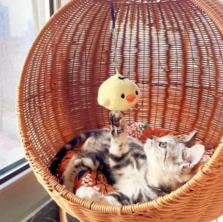 籐のリビング猫ベッド 二層式