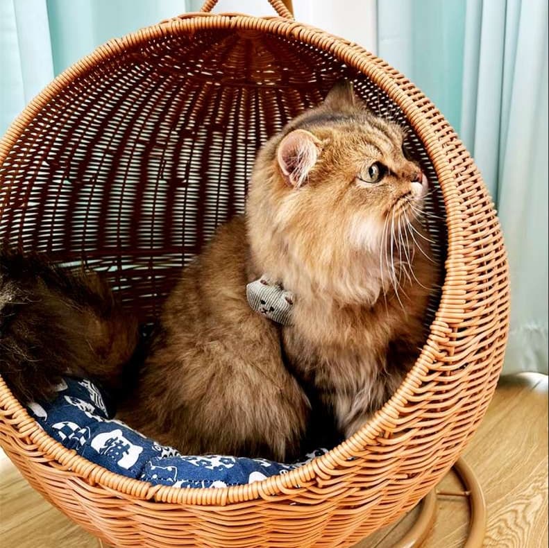 籐のリビング猫ベッド 二層式
