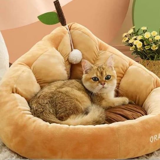猫ベッド もこもこまるまる猫ちゃんベッド