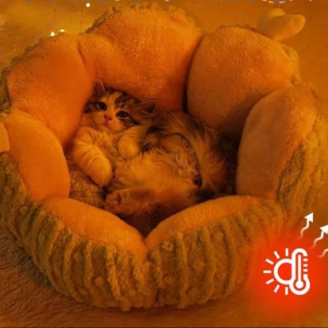 猫ベッド ふわもこ冬眠ベッド 猫ちゃんの楽園