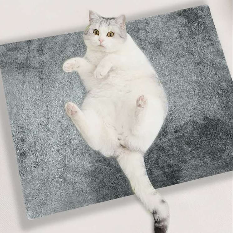 ふわもこ猫ベッド オールシーズン快適