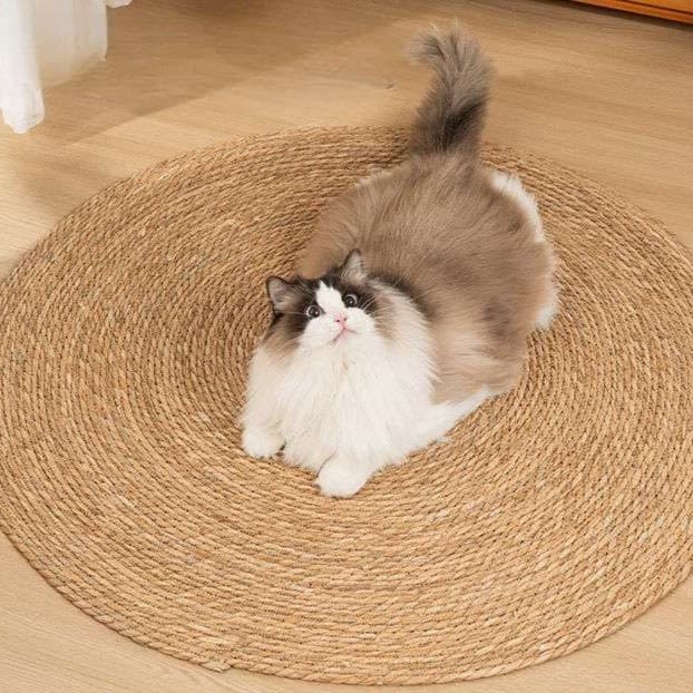 猫ベッド 涼やか夏日猫マット 天然素材編み込み