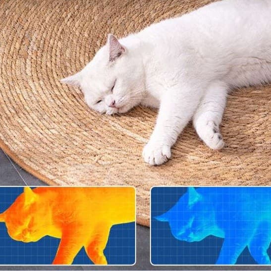 猫ベッド 涼やか夏日猫マット 天然素材編み込み