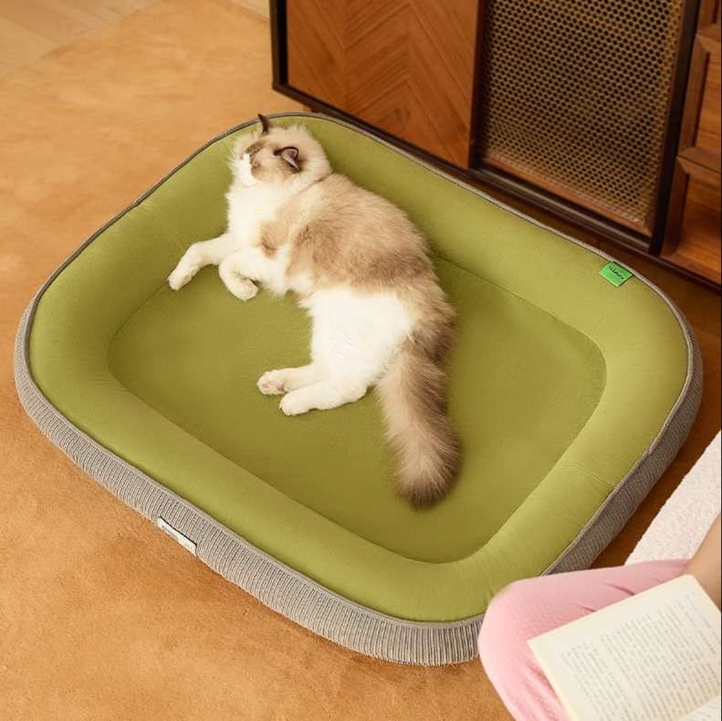 もこもこ猫ベッド ぬくぬくプラス