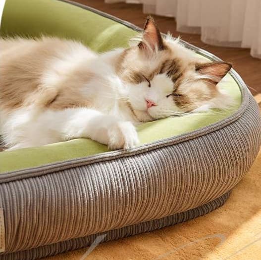 もこもこ猫ベッド ぬくぬくプラス