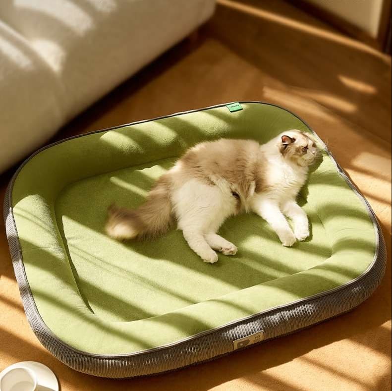 もこもこ猫ベッド ぬくぬくプラス