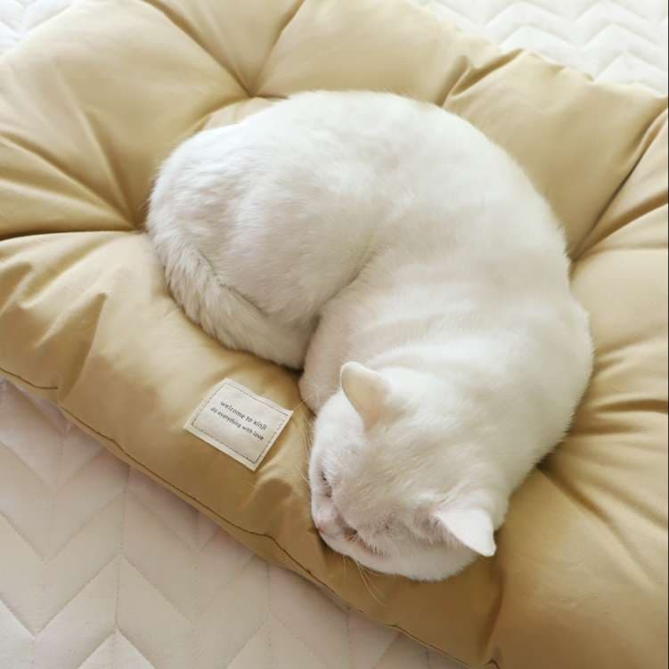 猫ベッド ふわもこ猫用クッション ぬくぬく寝床