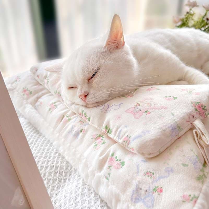 猫ベッド ふわもこ夢見る猫ちゃんのお昼寝ベッド