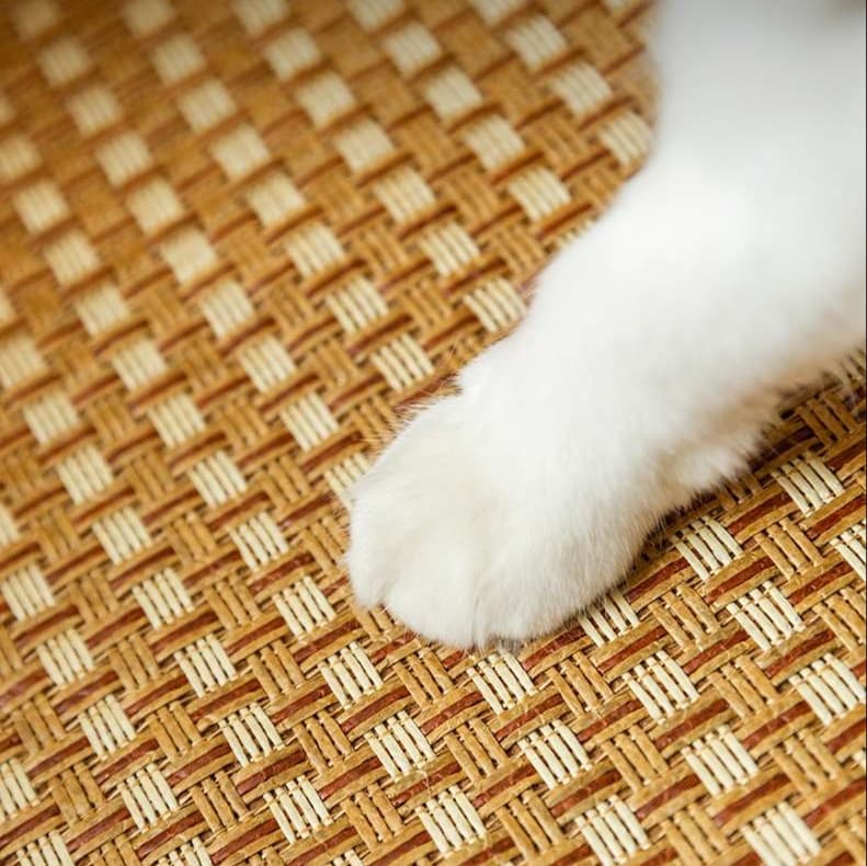 猫ベッド 藤かご猫ハンモック