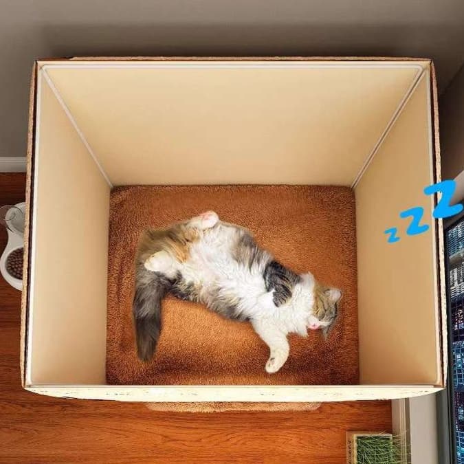 猫ベッド ふわもこ温泉猫ハウス 恒温加熱機能付き