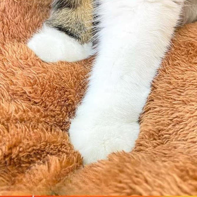 猫ベッド ふわもこ温泉猫ハウス 恒温加熱機能付き