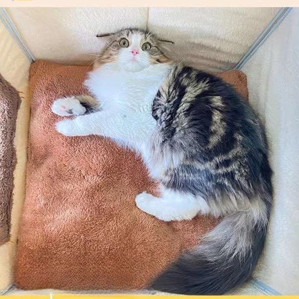 猫ベッド ふわもこ温泉猫ハウス 恒温加熱機能付き