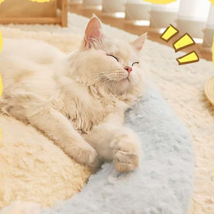 猫ベッド ふわもこアニマルくつろぎベッド