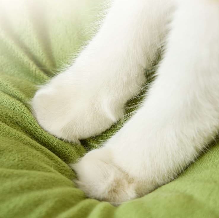 もこもこ包み込む猫ベッド 冬眠スタイル