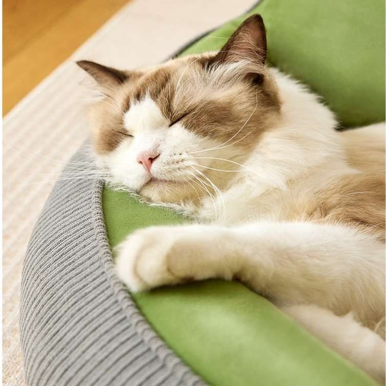 もこもこ包み込む猫ベッド 冬眠スタイル