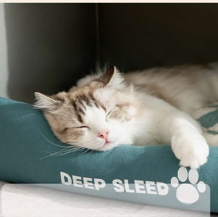 猫ベッド ふわもこ包み込む猫ハウス
