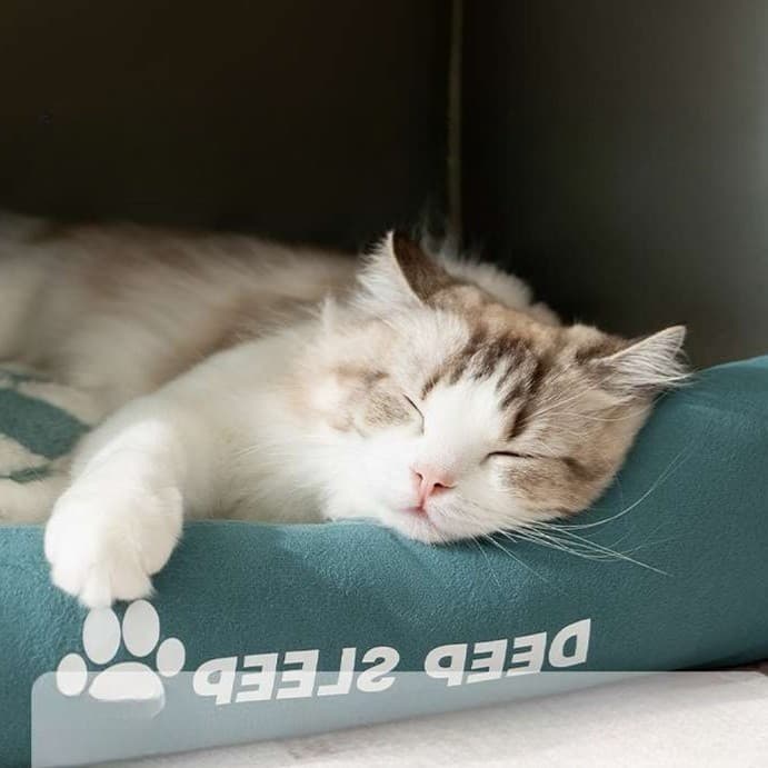 猫ベッド ふわもこ包み込む猫ハウス
