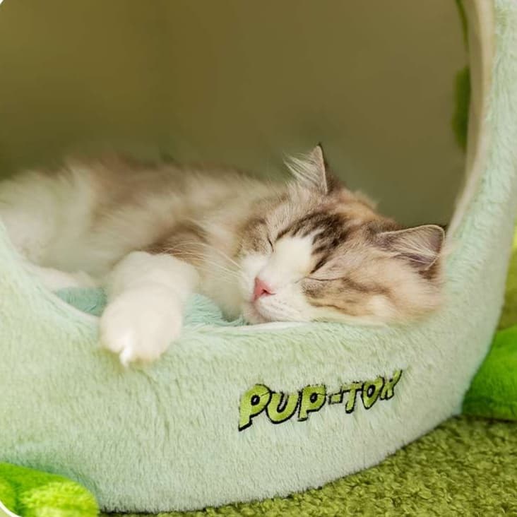猫ベッド ふわもこカエルのお家ベッド