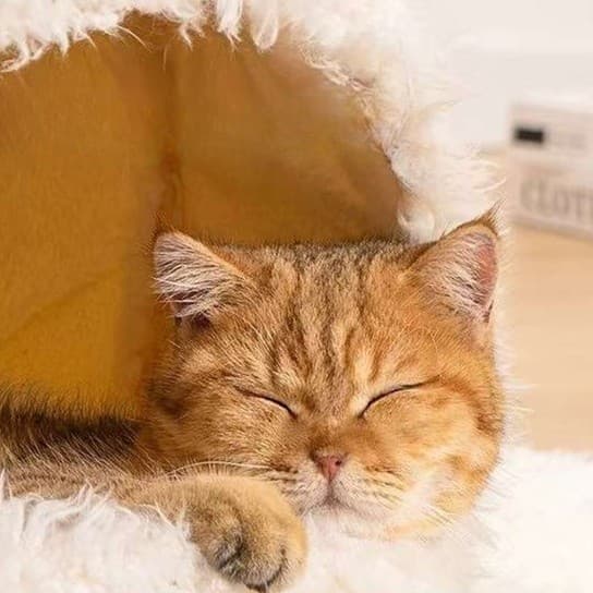 猫ベッド もこもこアニマル ペットハウス