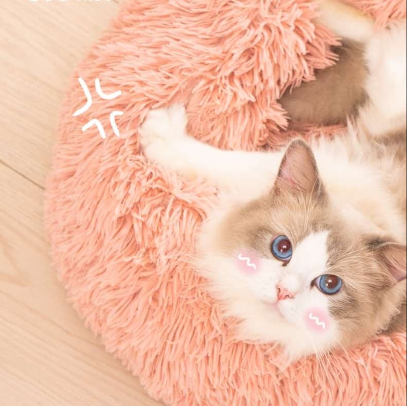 猫ベッド もこもこ楕円形ペットベッド