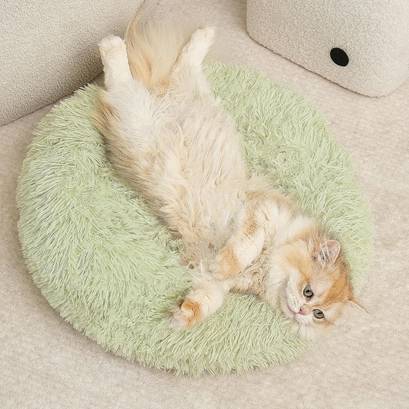 もこもこ冬ぬくぬく猫ベッド